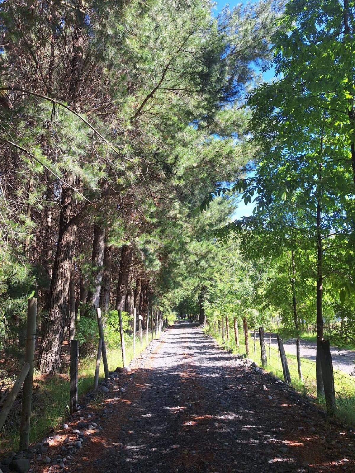 Trabun Casa de férias Melipeuco